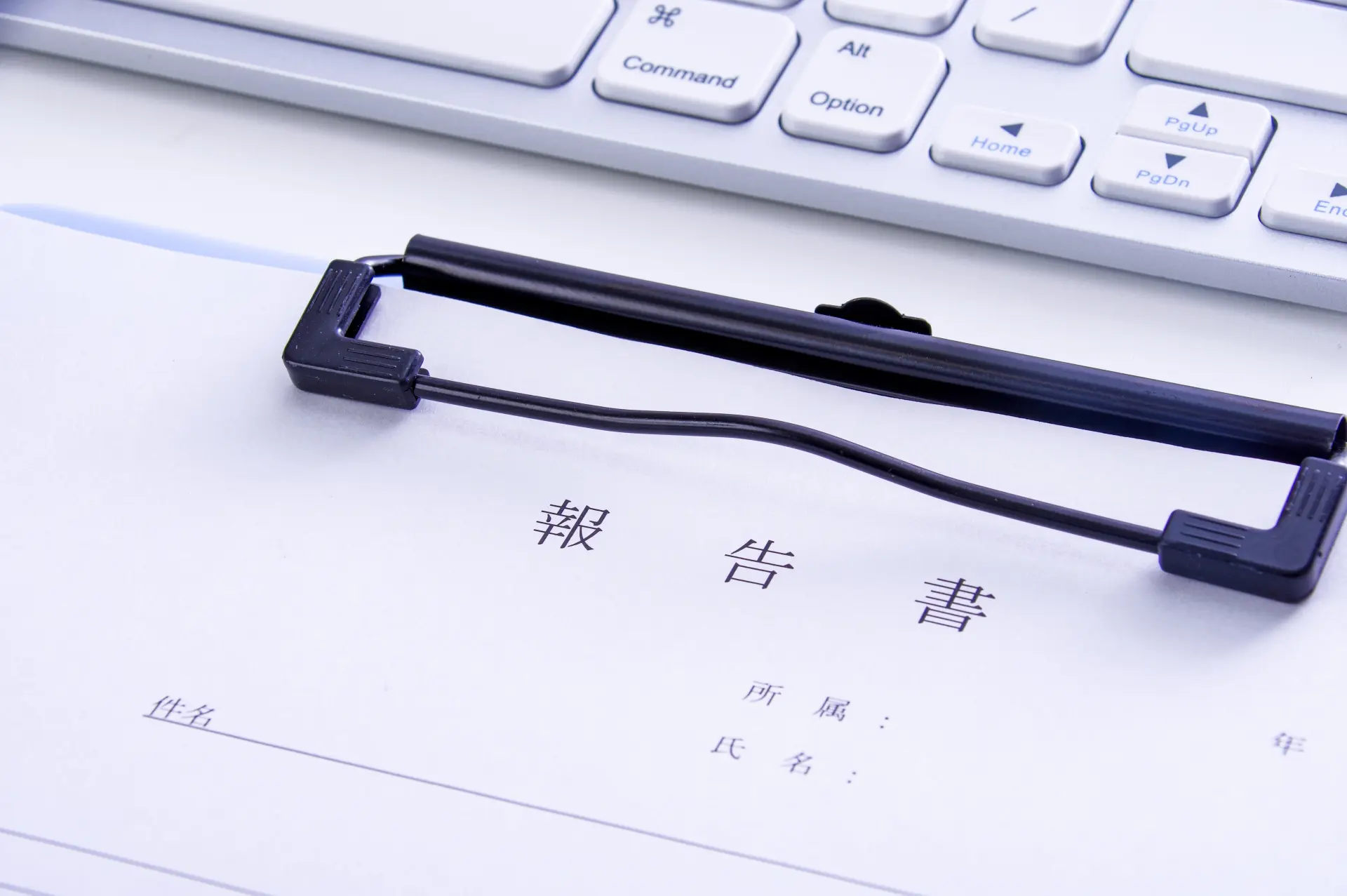 報告書品質と迅速な現場対応力